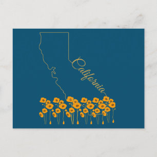California Golden State Poppy Floral Postcard