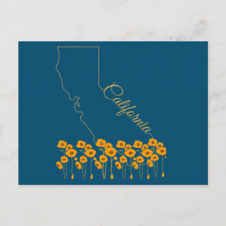 California Golden State Poppy Floral Postcard