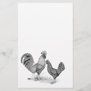 California Grey Rooster and Hen Stationery