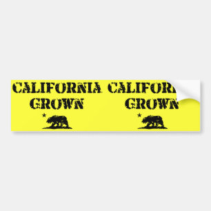 California Grown Bear Bumper Sticker