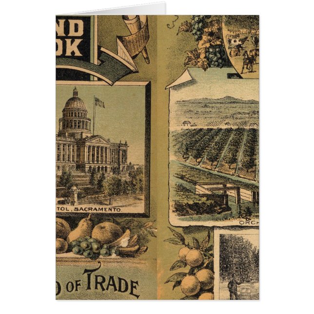 California hand book (Front)