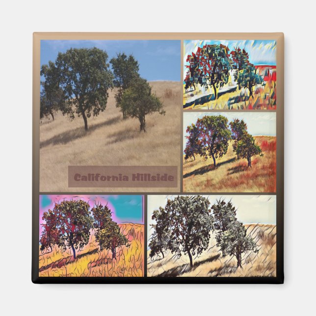 California Hillside Abstract Photo Collage 9979 Magnet (Front)