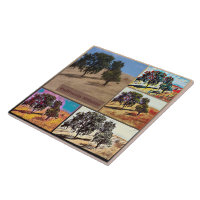 California Hillside Abstract Photo Collage 9979