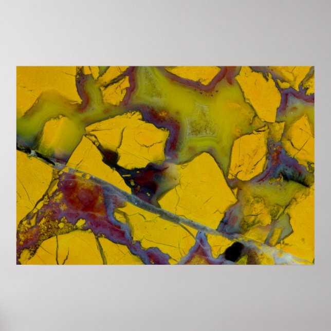 California Jasper Poster (Front)