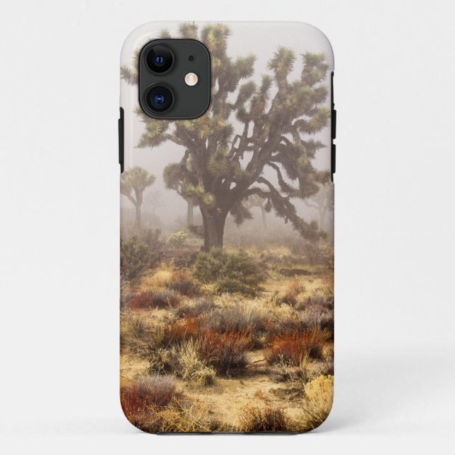 California: Joshua Tree National Monument, Case-Mate iPhone Case (Back)