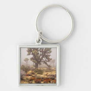 California: Joshua Tree National Monument, Key Ring
