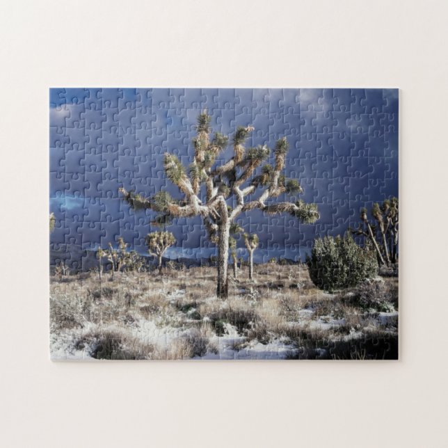 California, Joshua Tree National Park Jigsaw Puzzle (Horizontal)