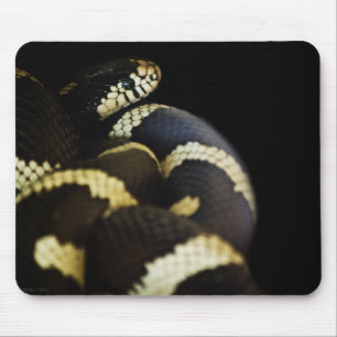 California King Snake Mousepad