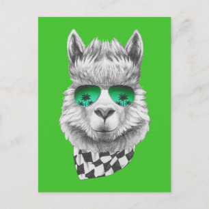 California llama postcard