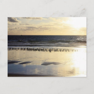 California - Manhattan Beach. K Postcard