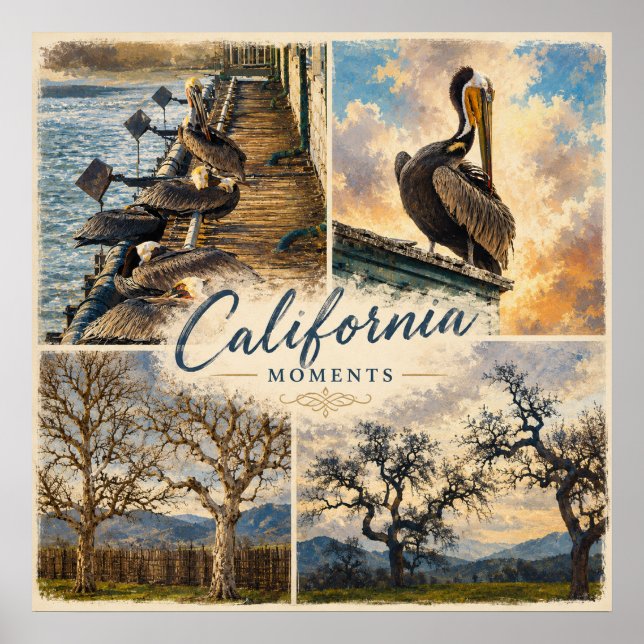 California Moments Poster (Front)