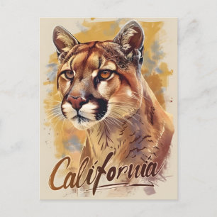 California Mountain Lion Cougar Portrait Postcard