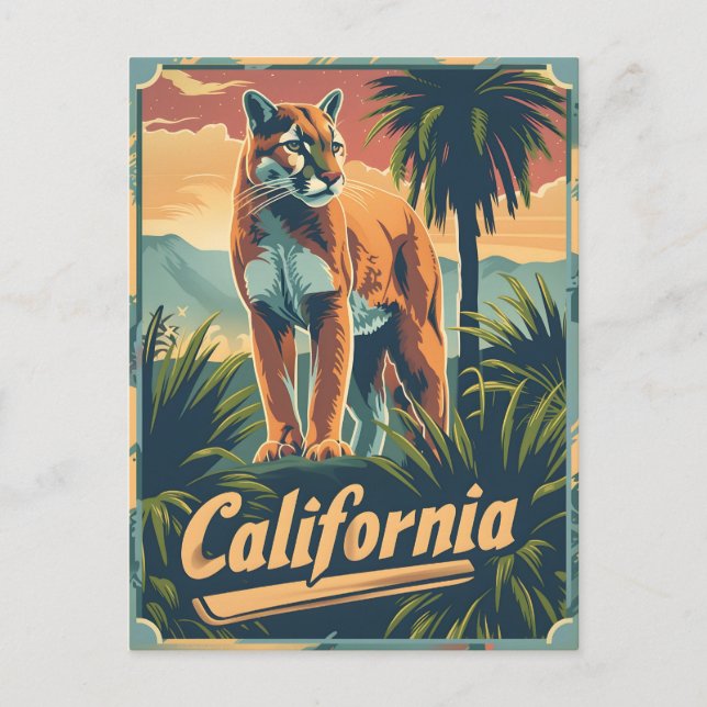 California Mountain Lion Cougar Postcard (Front)