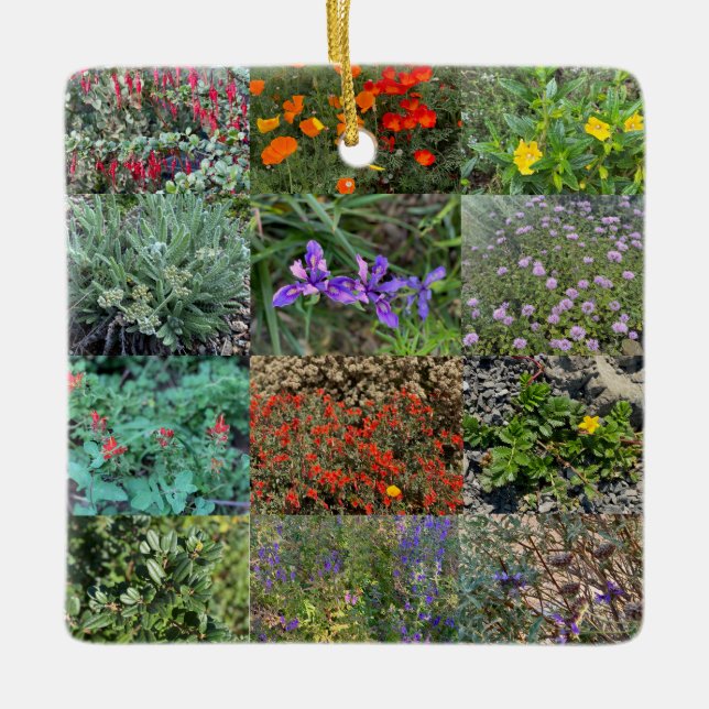 California Native Colors 2020 Ceramic Ornament (Front)