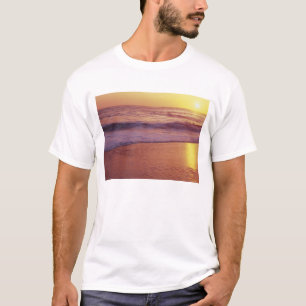 California, near Santa Cruz, View of beach at T-Shirt
