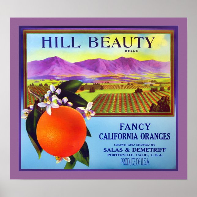 California Oranges Fruit Advertisement Print (Front)