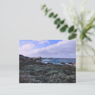 California Pacific Coast Point Lobos Monterey Postcard