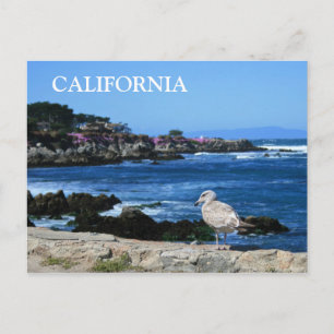 California, Pacific Coastline Postcard