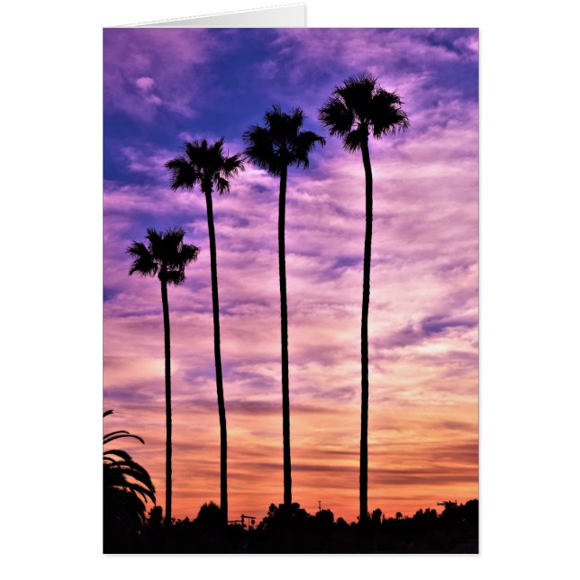 California Palm Tree Sunset Greeting Card (Front)