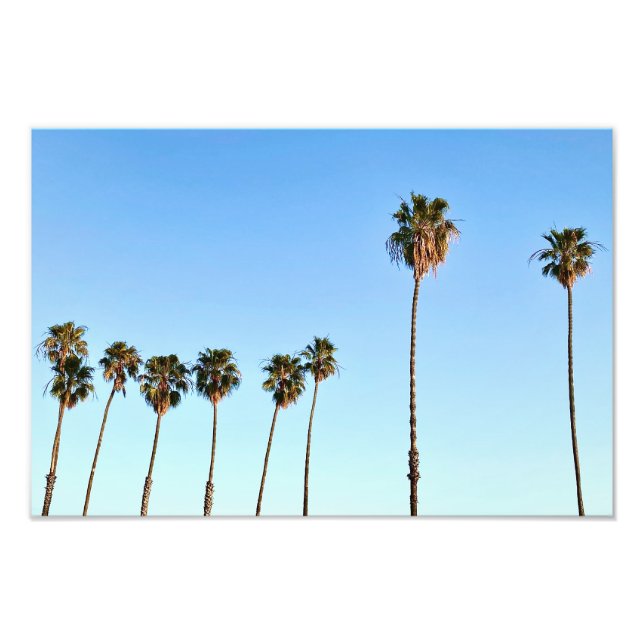 California Palm Trees at Golden Hour Photo Print (Front)