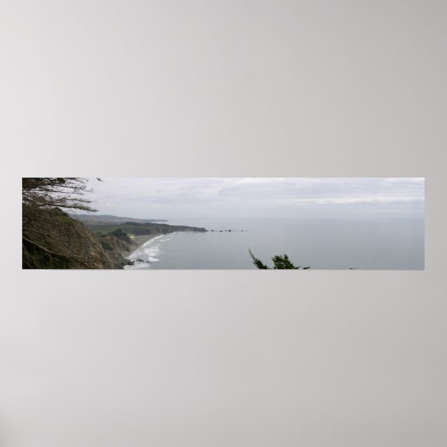 California Panoramic 12 Poster (Front)