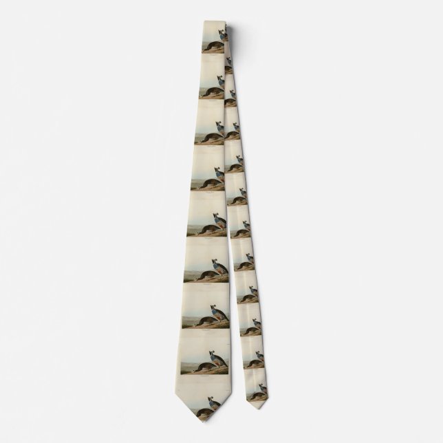 California Partridge - Audubon's Birds of America Tie (Front)