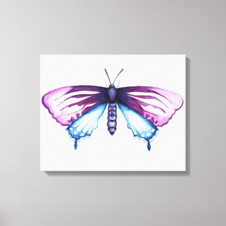 California pipevine swallowtail butterfly canvas print