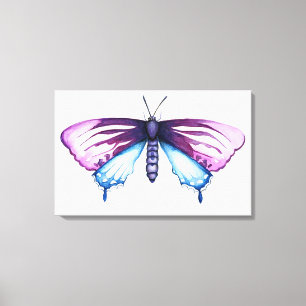 California pipevine swallowtail butterfly canvas print