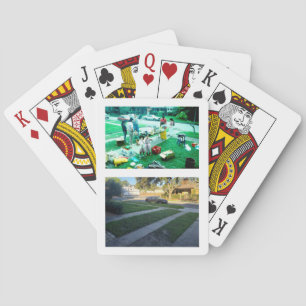 california playing cards