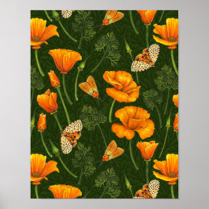 California poppies and moths on dark green poster