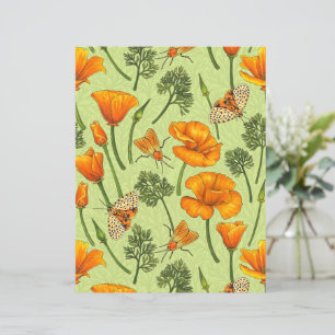 California poppies and moths on honey dew