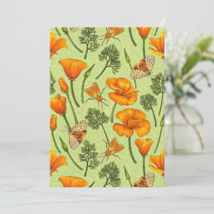 California poppies and moths on honey dew