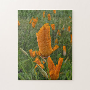 California Poppies as Buds Jigsaw Puzzle