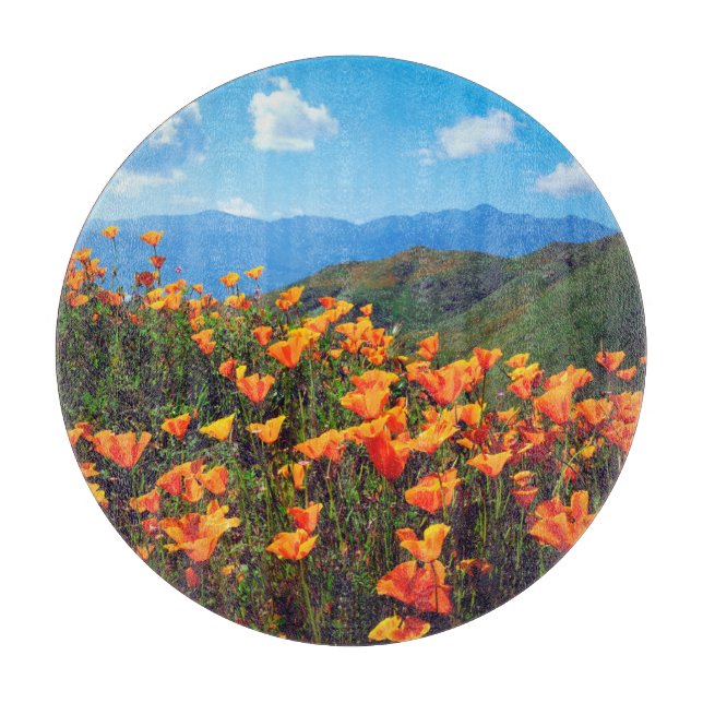 California poppies covering a hillside cutting board (Front)