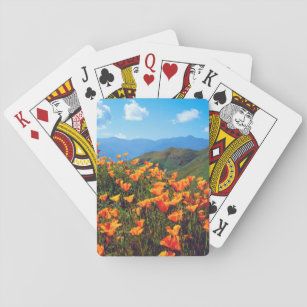 California poppies covering a hillside playing cards
