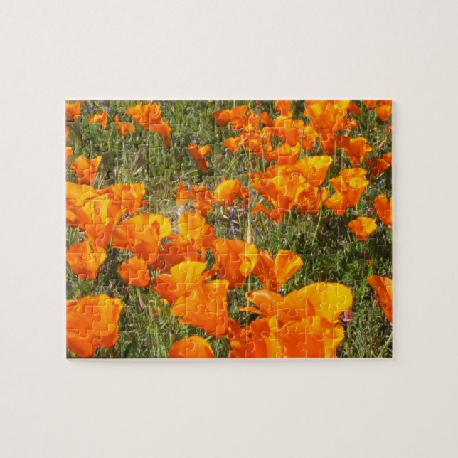 California Poppies Jigsaw Puzzle (Horizontal)