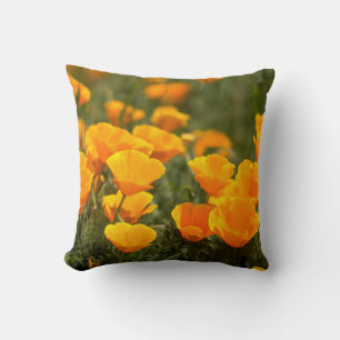 California poppies, Montana de Oro State Park Cushion
