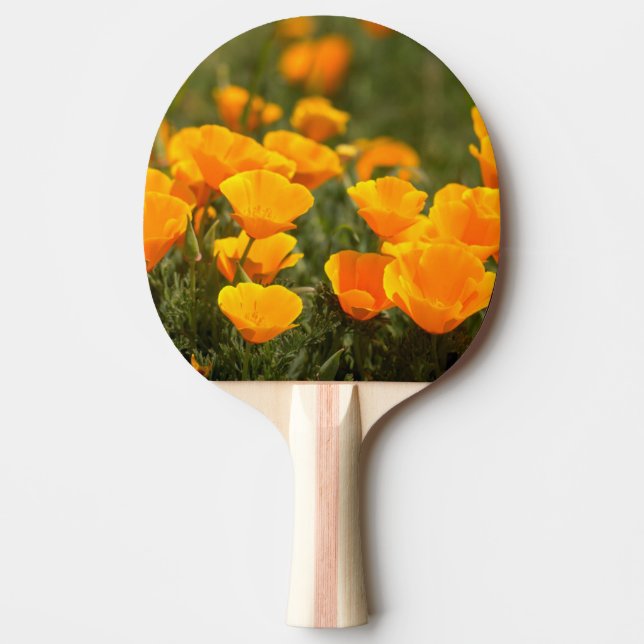 California poppies, Montana de Oro State Park Ping Pong Paddle (Front)