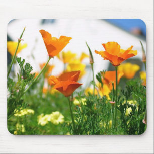 California Poppies Mouse Pad