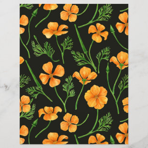 California poppies, summertime flowers, orange wil