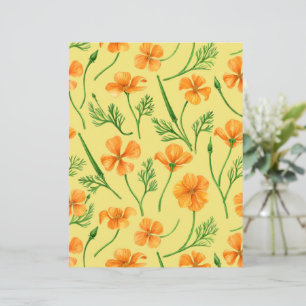 California poppies, summertime flowers, orange wil