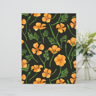 California poppies, summertime flowers, orange wil