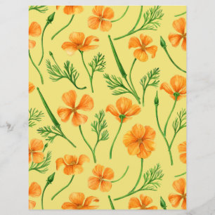 California poppies, summertime flowers, orange wil