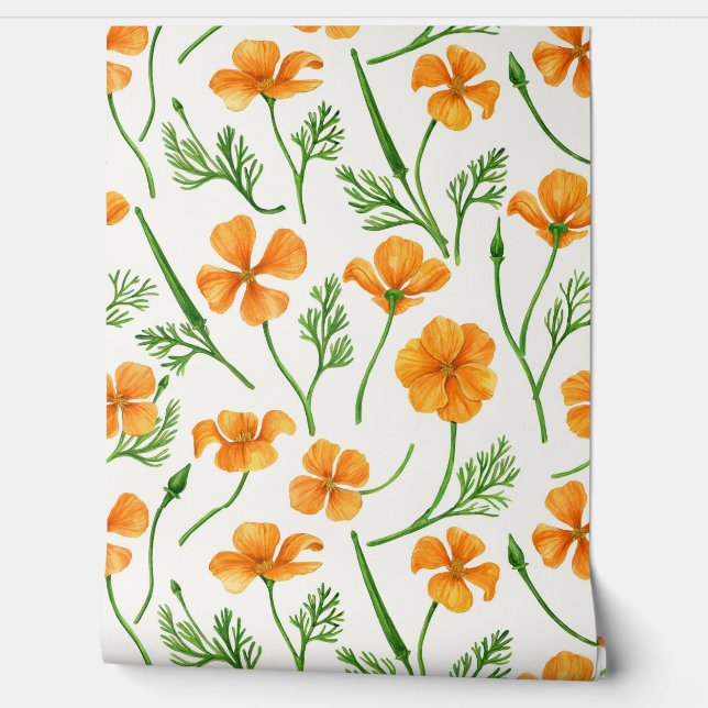 California poppies, summertime flowers, orange wil wallpaper (Unrolling)