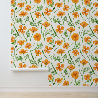 California poppies, summertime flowers, orange wil wallpaper