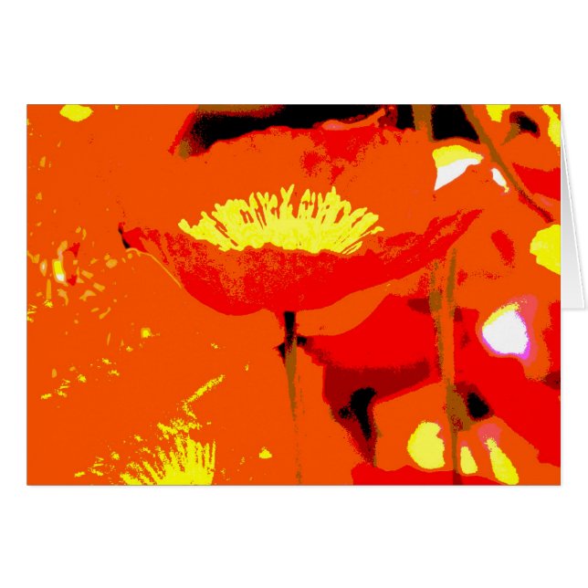 California Poppy (Front Horizontal)