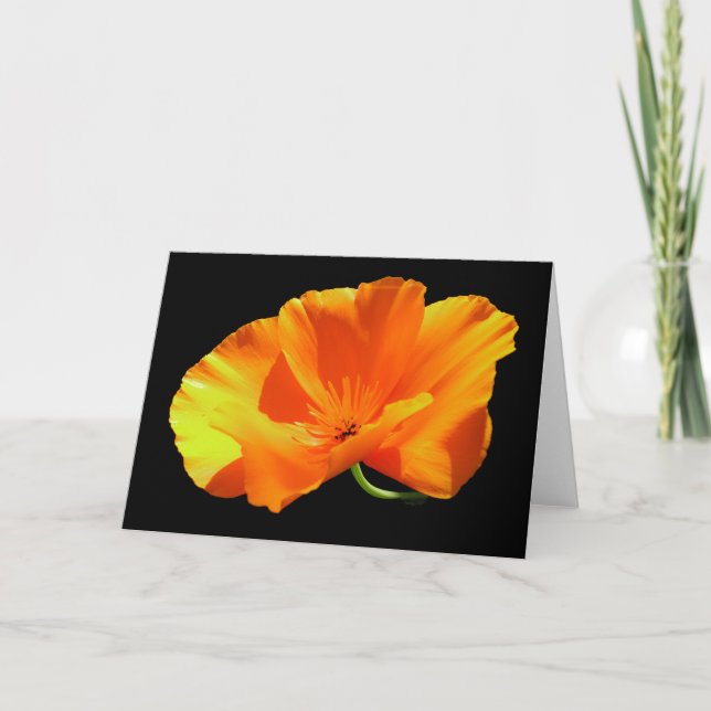 California Poppy Blank Card (Front)