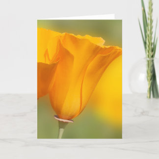 California Poppy Card