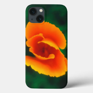 California Poppy iPhone 13 Case