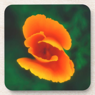 California Poppy Coaster